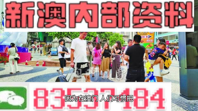 新澳门2024年资料大全管家婆,精准解答解释落实_V版26.077