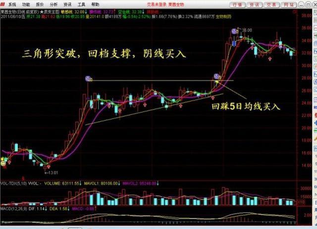 2024澳门特马今晚开什么,深入解答解释落实_理财版88.081